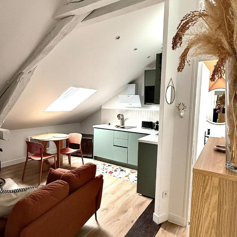Appartement centre ville Orléans et proche gare - Apartamento de 1 dormitorio - 1