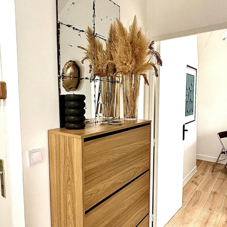 Appartement centre ville Orléans et proche gare - Apartamento de 1 dormitorio - 30