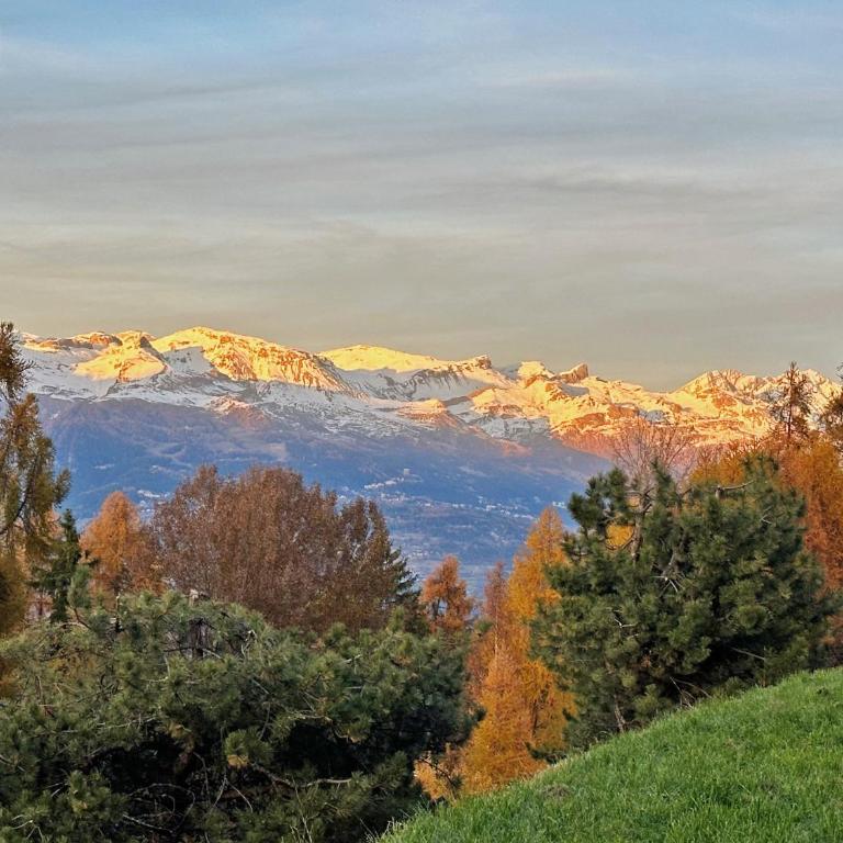 Lift Bear Lodge - 4Valleys - Swiss Alps - Apartment mit Blick auf die Berge - 2