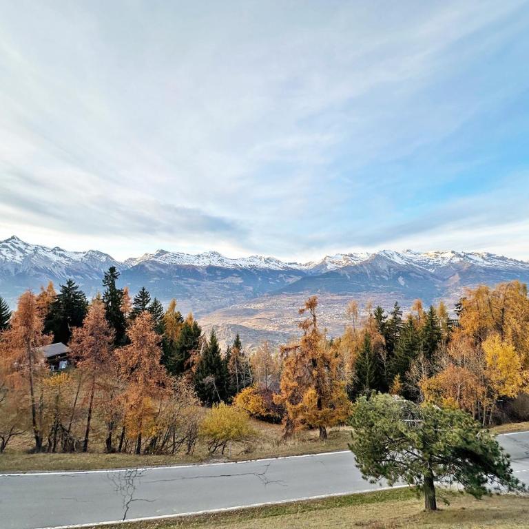 Lift Bear Lodge - 4Valleys - Swiss Alps - Apartment mit Blick auf die Berge - 15