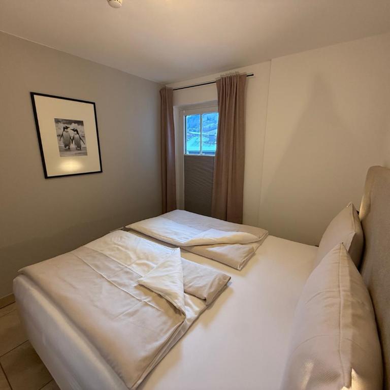 EXCLUSIVE APARTMENTS - inclusive Zell am See-Kaprun Sommerkarte und unbegrenztem Tauern SPA Eintritt - Apartment Imbachhorn mit kostenfreiem VIP-Zugang zum Tauern Spa - 3
