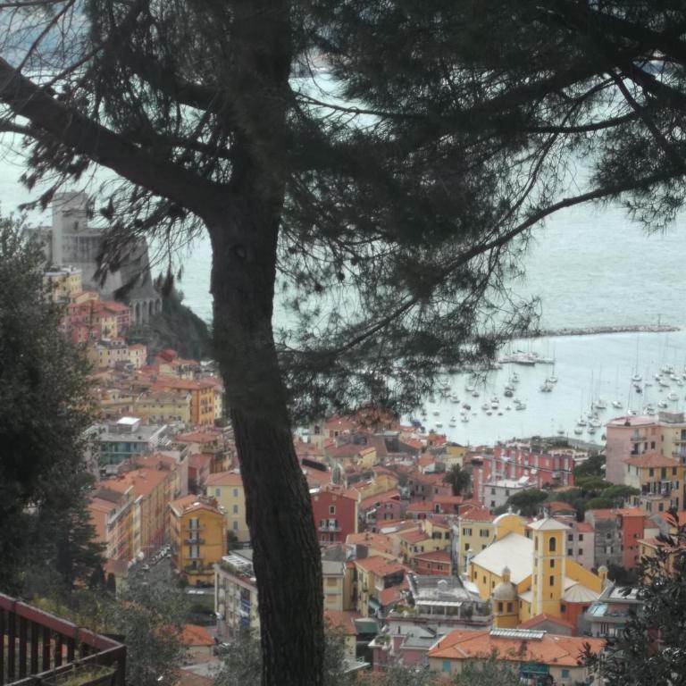Rùstegu Dùze - Parking in Center & On-site - Monolocale con Vista Giardino - 11