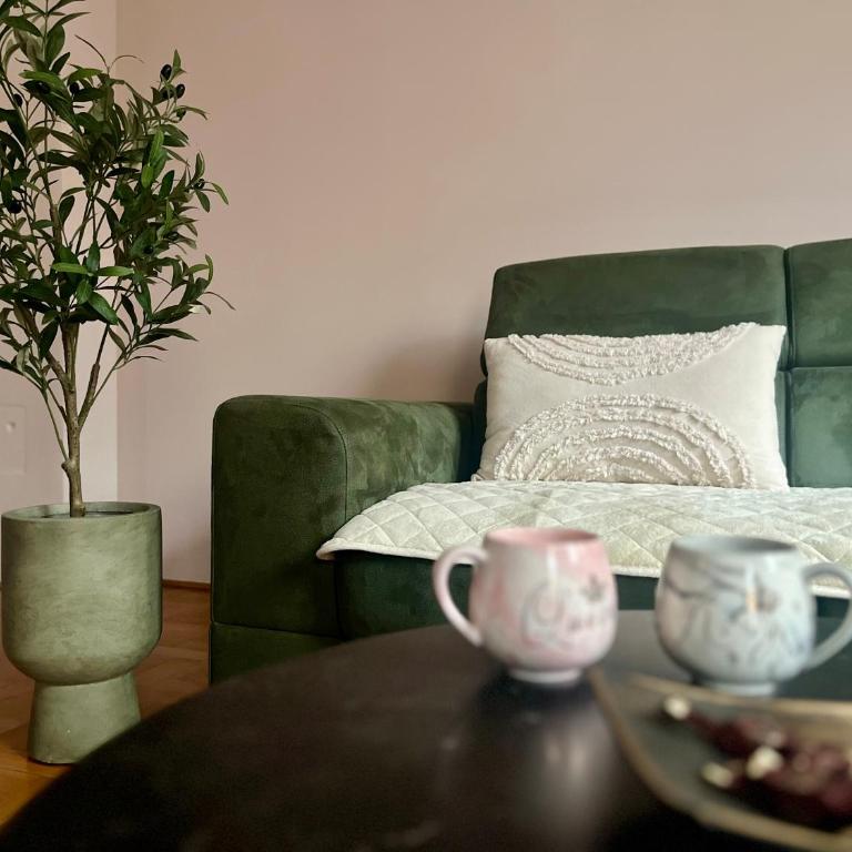 Tik-tak City center PREMIUM - Apartman sa 1 Spavaćom Sobom - 1