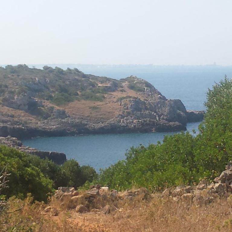 Corte dei Donno Santa Maria al Bagno Gallipoli - Casa Vacanze - 7