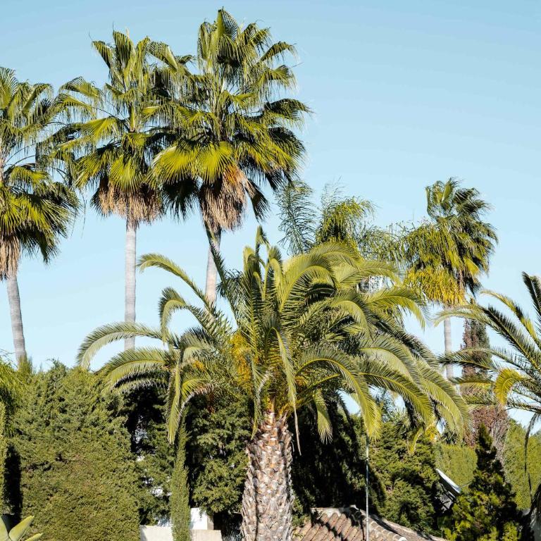 Villa Parcelas Del Golf Private Pool Family Marbella Escape - Apartamento - 39
