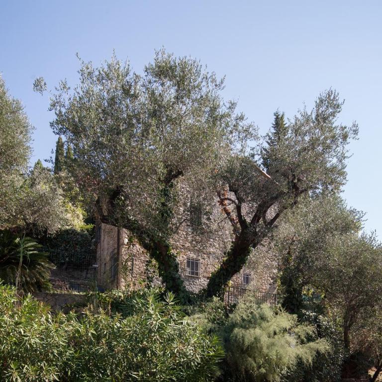 Rùstegu Dùze - Parking in Center & On-site - Monolocale con Vista Giardino - 12