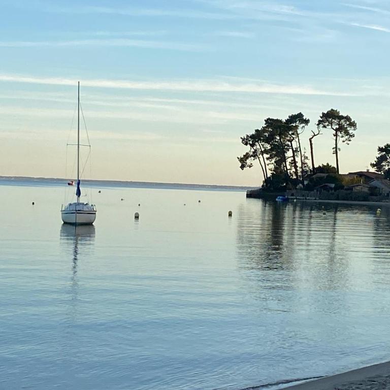 Les lodges des pins, bungalows paisibles dans les pins au cap ferret proche des pistes cyclables - Bungalow mit Terrasse - 7