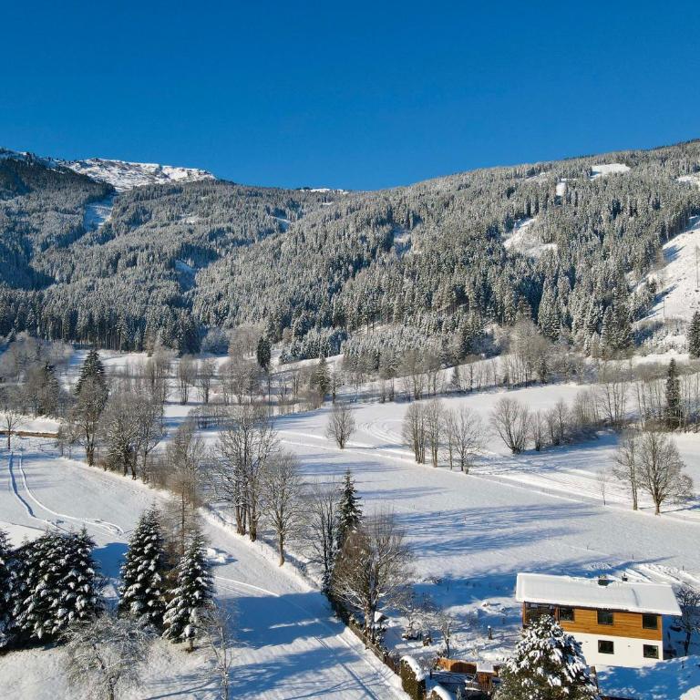 Alpen Apartment Unterberger am Steinernen Meer - 2-Zimmer-Apartment - 30