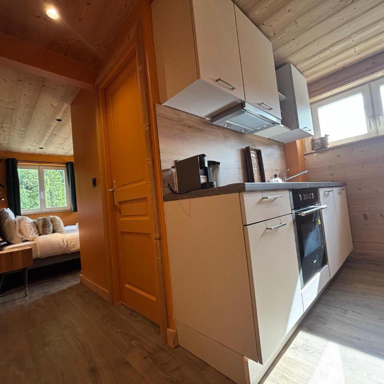 Résidence Bel Air, Univers Fantastique - Appartement 1 Chambre - 3