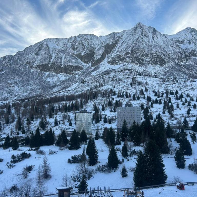 Tonale Sweet House - Appartamento con 1 Camera da Letto - 28