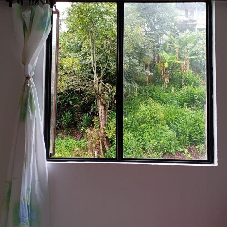 Hostal Ninfa del Mar - Large Double Room - 1