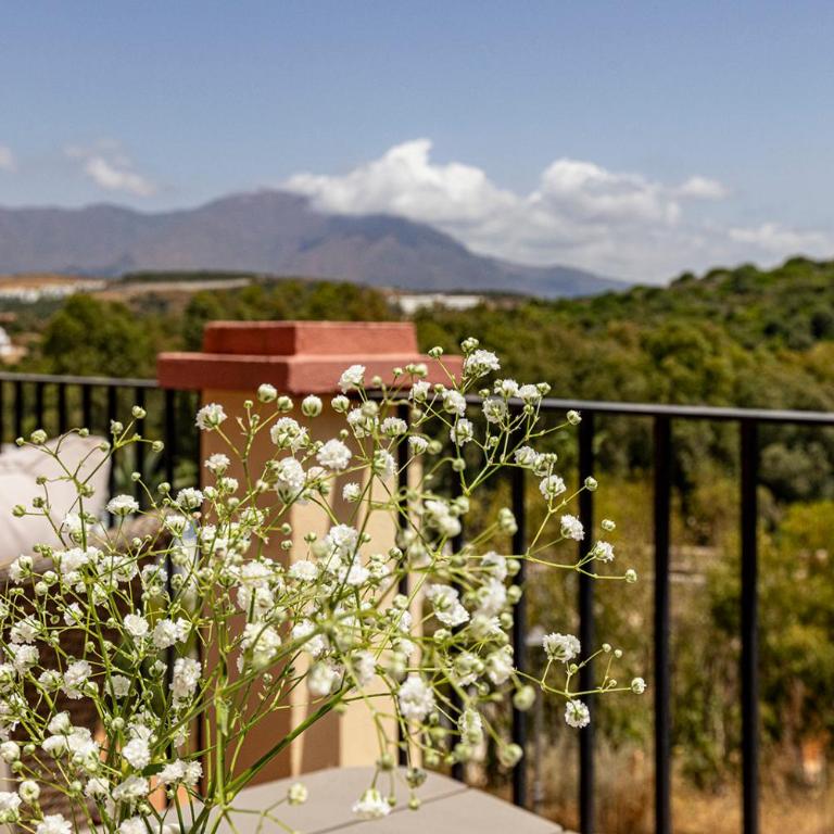 Sunrise Hill Penthouse in Casares - Apartamento de 3 dormitorios - 54