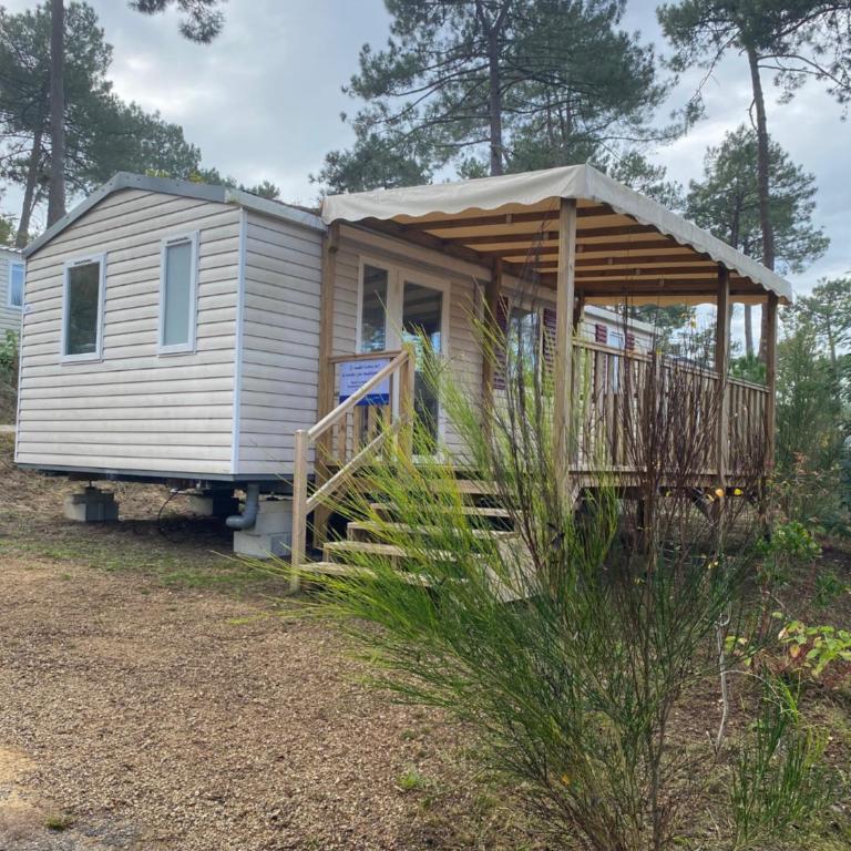 Les lodges des pins, bungalows paisibles dans les pins au cap ferret proche des pistes cyclables - Bungalow mit Terrasse - 7