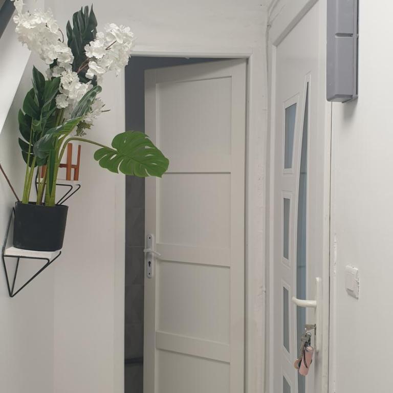 Neuw room Calaisis - Chambre Simple Standard - 5