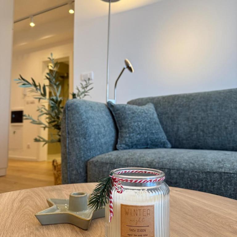 Nordic City View Apartment - One-Bedroom Apartment - 1