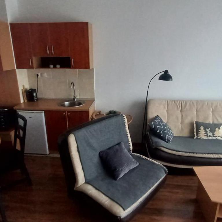 Divčibare Snežna Kraljica ap 13 - Apartman sa 1 Spavaćom Sobom - 3