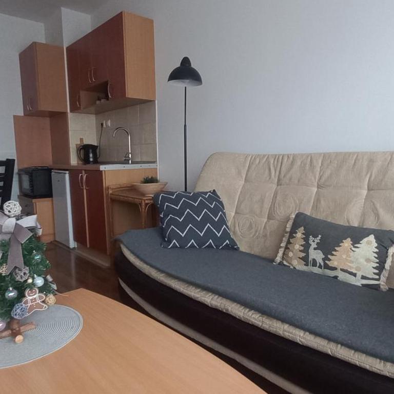 Divčibare Snežna Kraljica ap 13 - Apartman sa 1 Spavaćom Sobom - 1