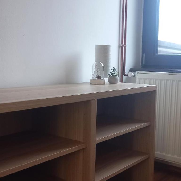 Divčibare Snežna Kraljica ap 13 - Apartman sa 1 Spavaćom Sobom - 10