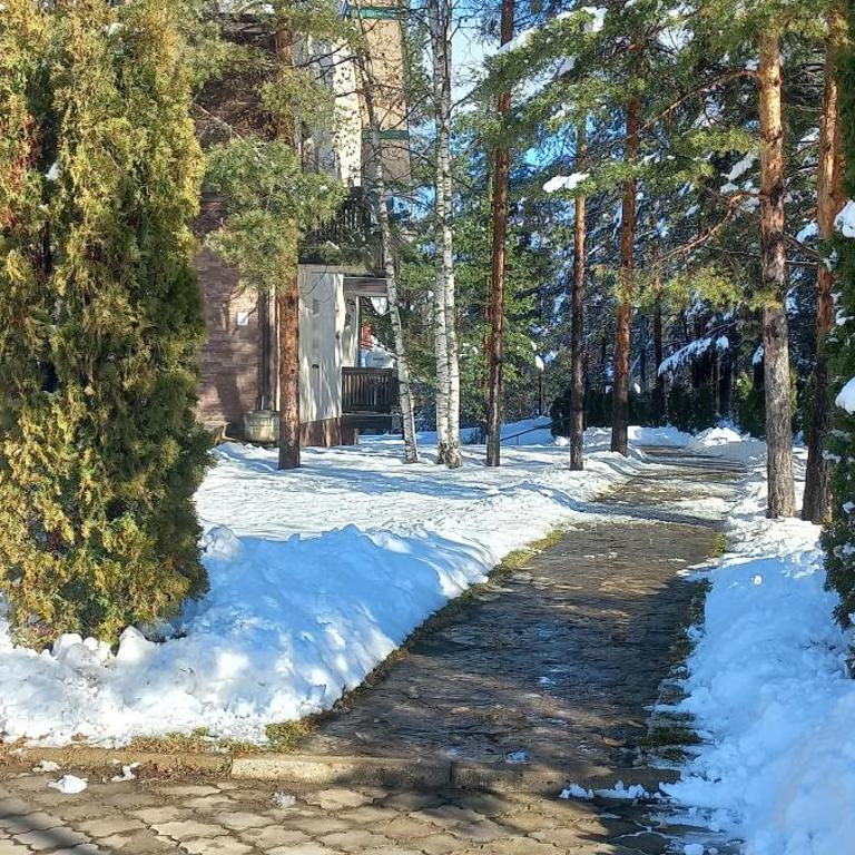 Divčibare Snežna Kraljica ap 13 - Apartman sa 1 Spavaćom Sobom - 27