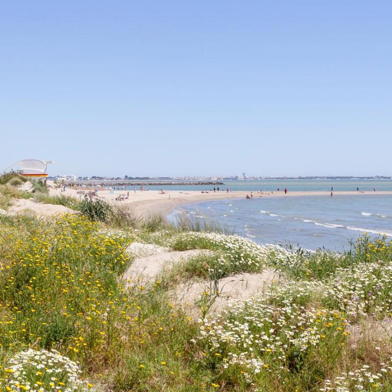 Chez Marie - Bel appartement en centre ville et front de mer - Apartment - 22