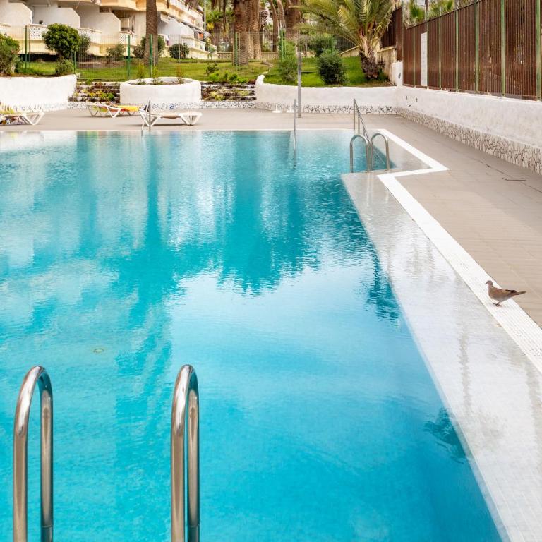 Home2Book Terrace & Pool Retreat, Las Américas - Apartamento de 1 dormitorio - 48