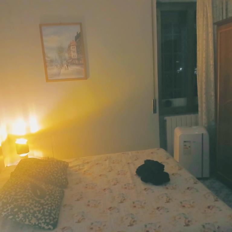 Eden Bed - Single Room - 18