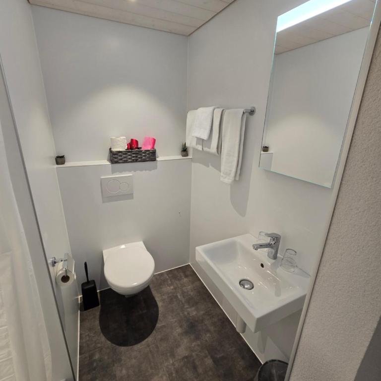 Gasthof Hirschen in Wilderswil - Doppelzimmer - 6