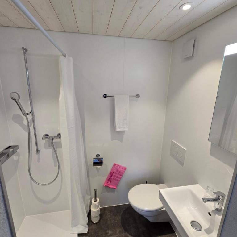 Gasthof Hirschen in Wilderswil - Zweibettzimmer mit eigenem Bad - 6