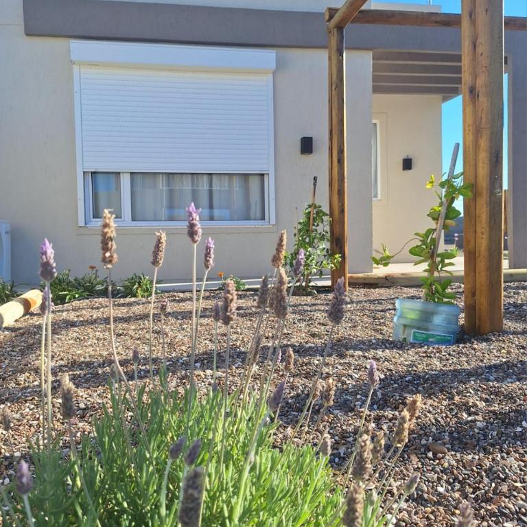 COMPLEJO PATAGONIA AZUL - One-Bedroom House - 2