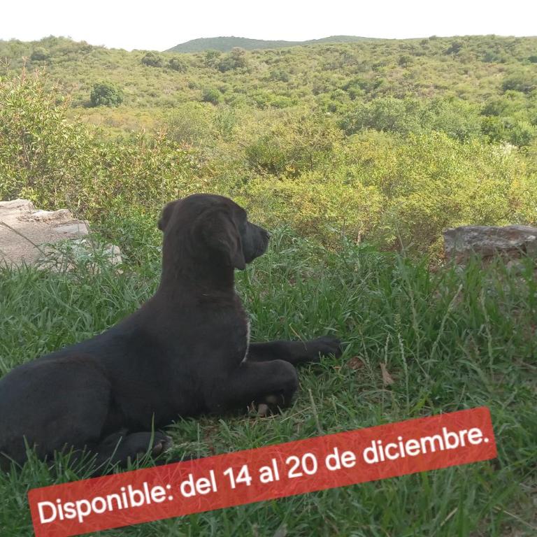 Tinkunaco Alta Gracia - Chalet de 2 dormitorios - 1