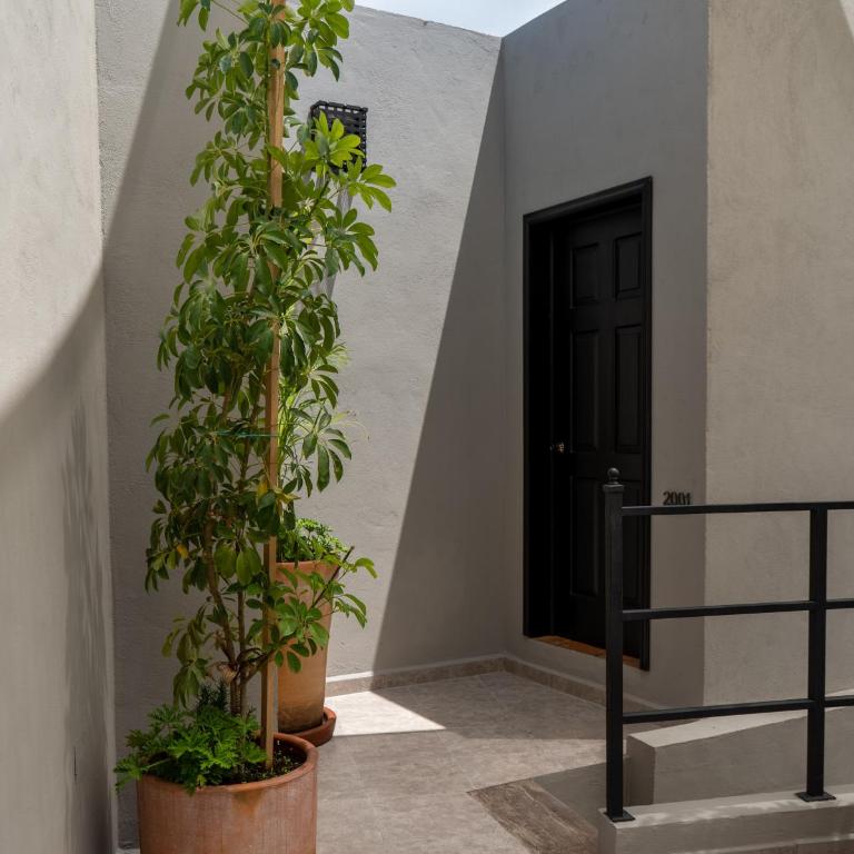 Casa Studio San Miguel de Allende - Villa - 44