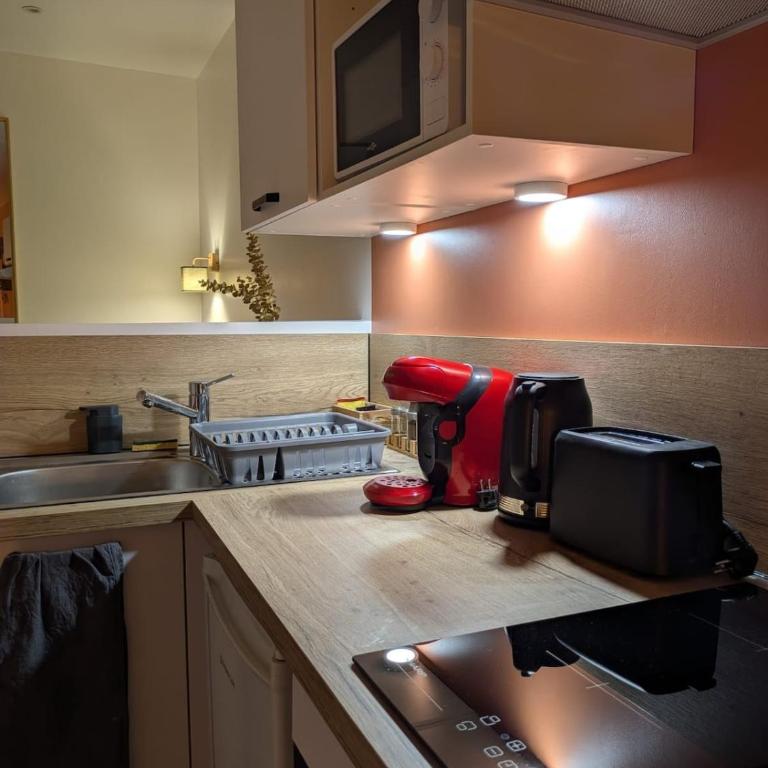 Studio cœur de ville - One-Bedroom Apartment - 13