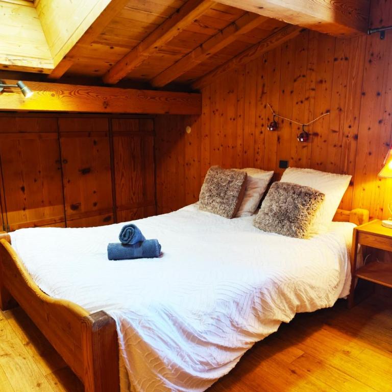 Le Montagnard - Appartamento - 16