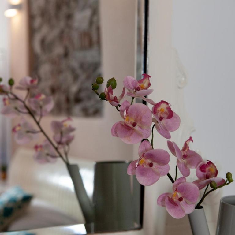 Divas Rooms - Camera Matrimoniale - 1