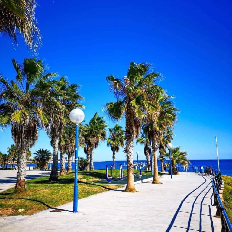Maravilloso bungalow in Playa Flamenca - Apartamento de 2 dormitorios - 6