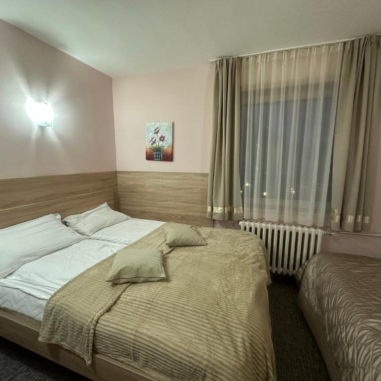 Apartments Konaci Kopaonik - Studio with Mountain View - 1