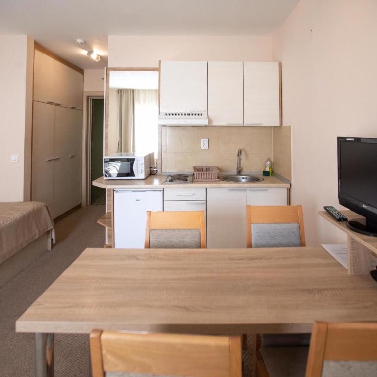 Apartments Konaci Kopaonik - Studio with Mountain View - 1