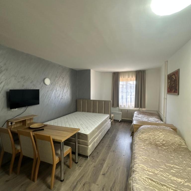 Apartments Konaci Kopaonik - Studio with Mountain View - 2