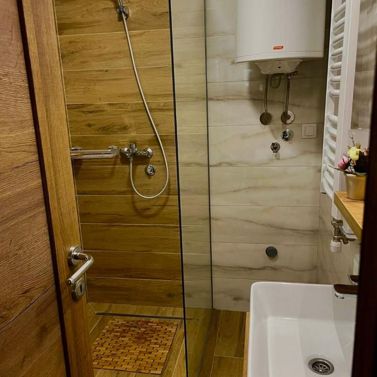 Apartmani Borovi Divčibare - Apartman sa 1 Spavaćom Sobom - 3