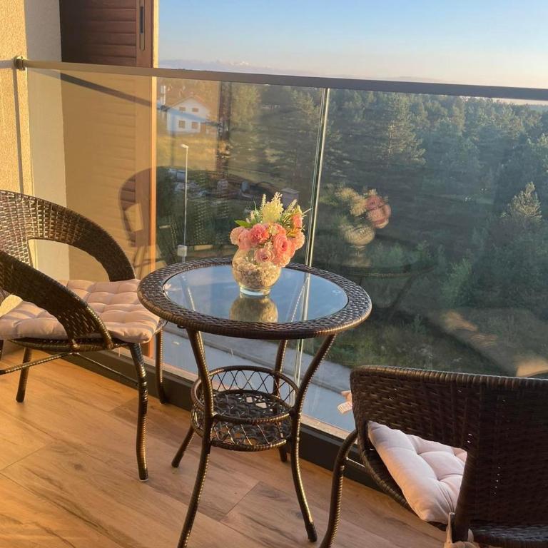 Apartmani Borovi Divčibare - Apartman sa 1 Spavaćom Sobom - 6