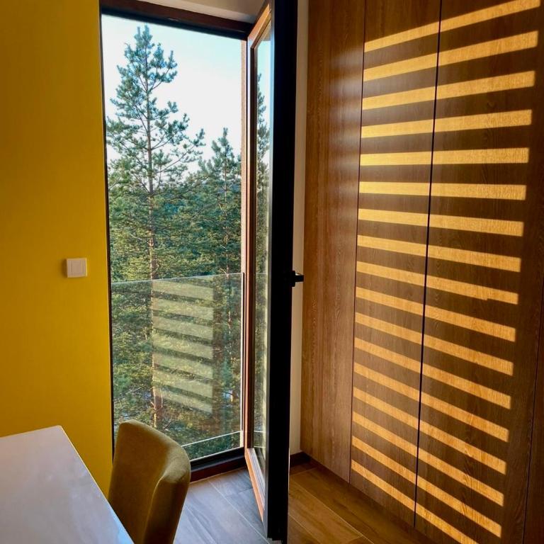Apartmani Borovi Divčibare - Apartman sa 1 Spavaćom Sobom - 8