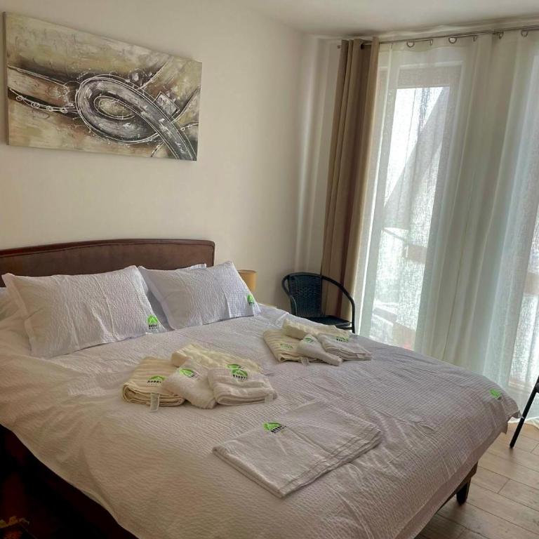 Apartmani Borovi Divčibare - Apartman s 1 Spavaćom Sobom i Balkonom - 6