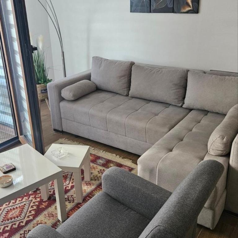 Apartmani Borovi Divčibare - Apartman s 1 Spavaćom Sobom i Balkonom - 3
