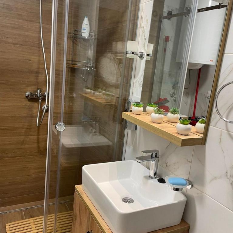 Apartmani Borovi Divčibare - Apartman s 1 Spavaćom Sobom i Balkonom - 8