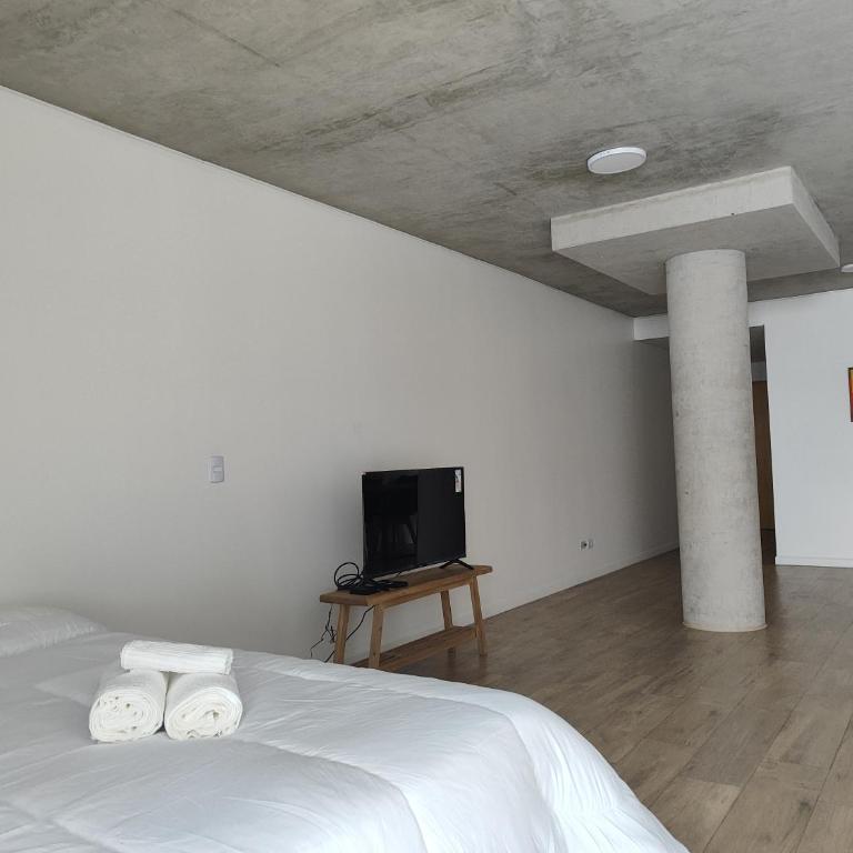 Libera Belgrano River Plate Chinatown - Loft - 26