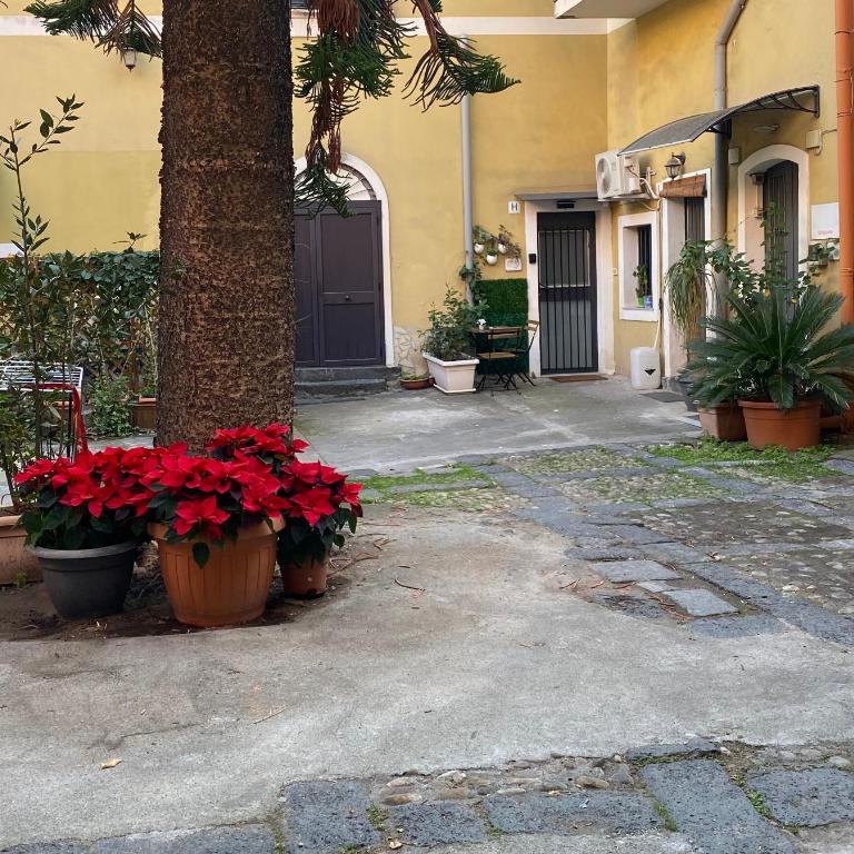 Casa Dolce Sonia - One-Bedroom House - 2