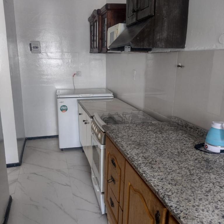GRAN departamento centrico - Three-Bedroom Apartment - 7
