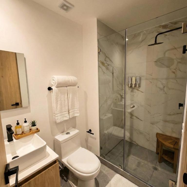 New apartment with amenities - One-Bedroom Apartment - 8
