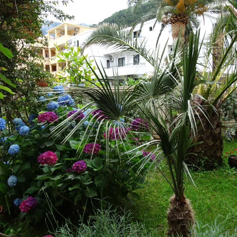 Apartament - Lisa - Apartment with Terrace - 48