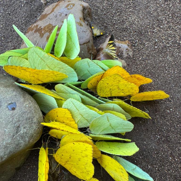 Alojamiento en los Saltos del Mocona - Misiones - Apartamento de 1 dormitorio - 29